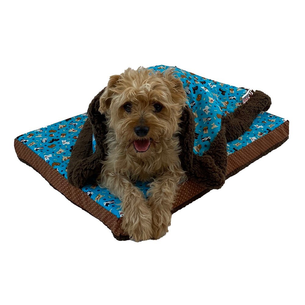 Dog Sherpa Blanket in Tranquil Teal fabric